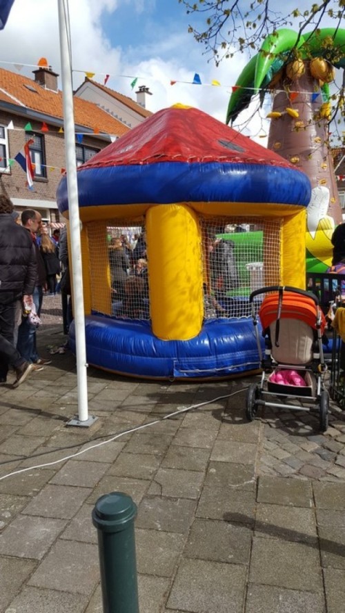 Ballenbak (Incl. ballenbakballen)